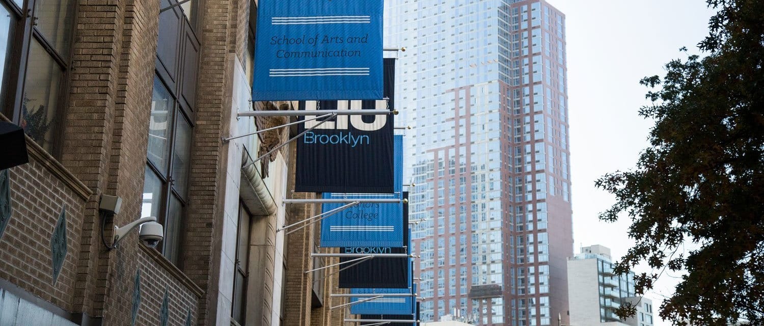 Long Island University Brooklyn International Students Admissions Long Island University Brooklyn International Students Admissions