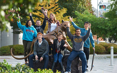 Adelphi University International Students Admissions Information